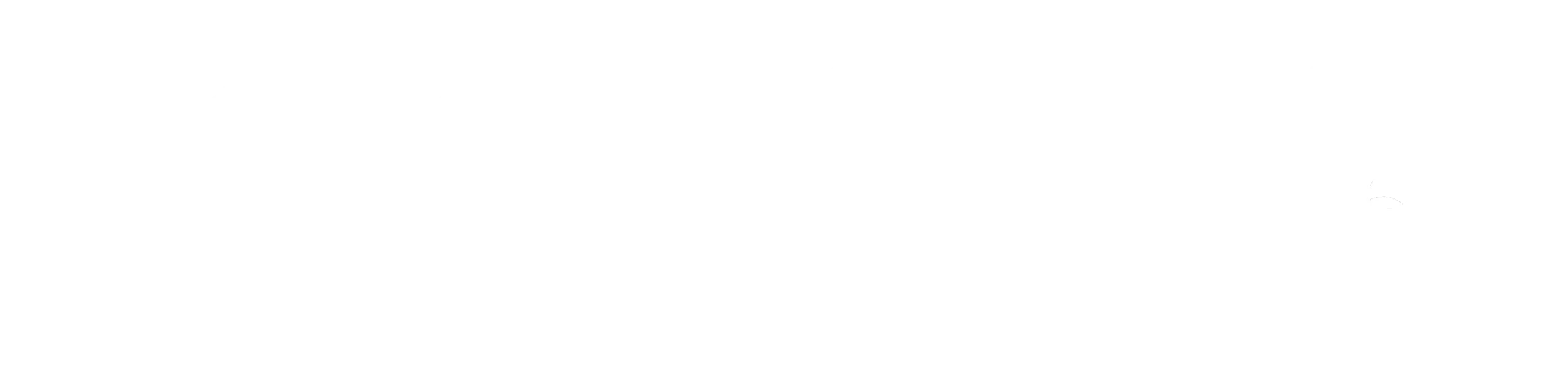 Skyline Cleaning Services logo